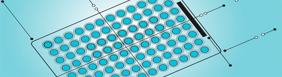 Molecular Biology OEM Plastics Graphic of a 384-well plate