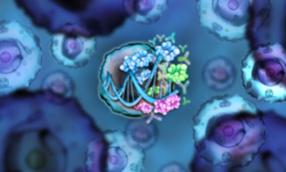 タンパク質発現解析 タンパク質発現解析