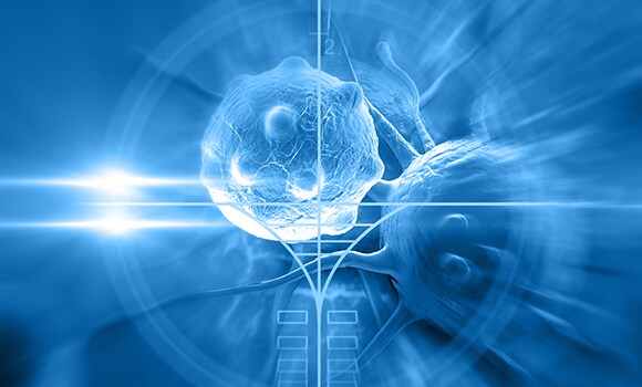 がん免疫学研究 がん免疫学研究