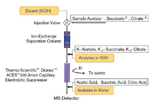 IC-MS Metabolomics Analysis | Thermo Fisher Scientific - KR