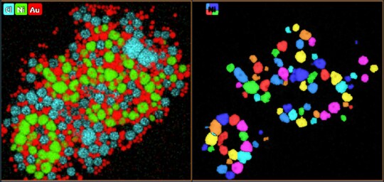 Au-Ni-Cl Nanoparticles