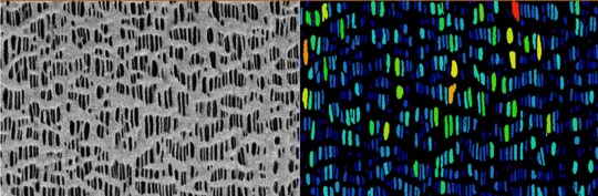 Porosity in a Polymer Divider