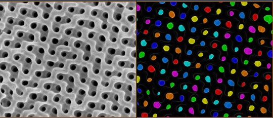 How to Batch Process an Image Recipe on a Set of 2D Images with Amira-Avizo2D