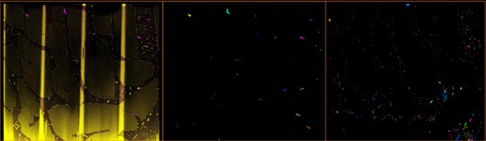 Size distribution of Nb-Cu nanoparticles