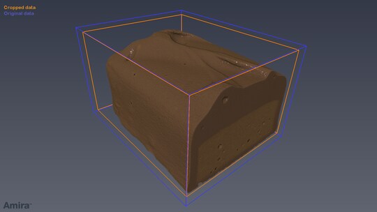 Auto-Crop Script Module