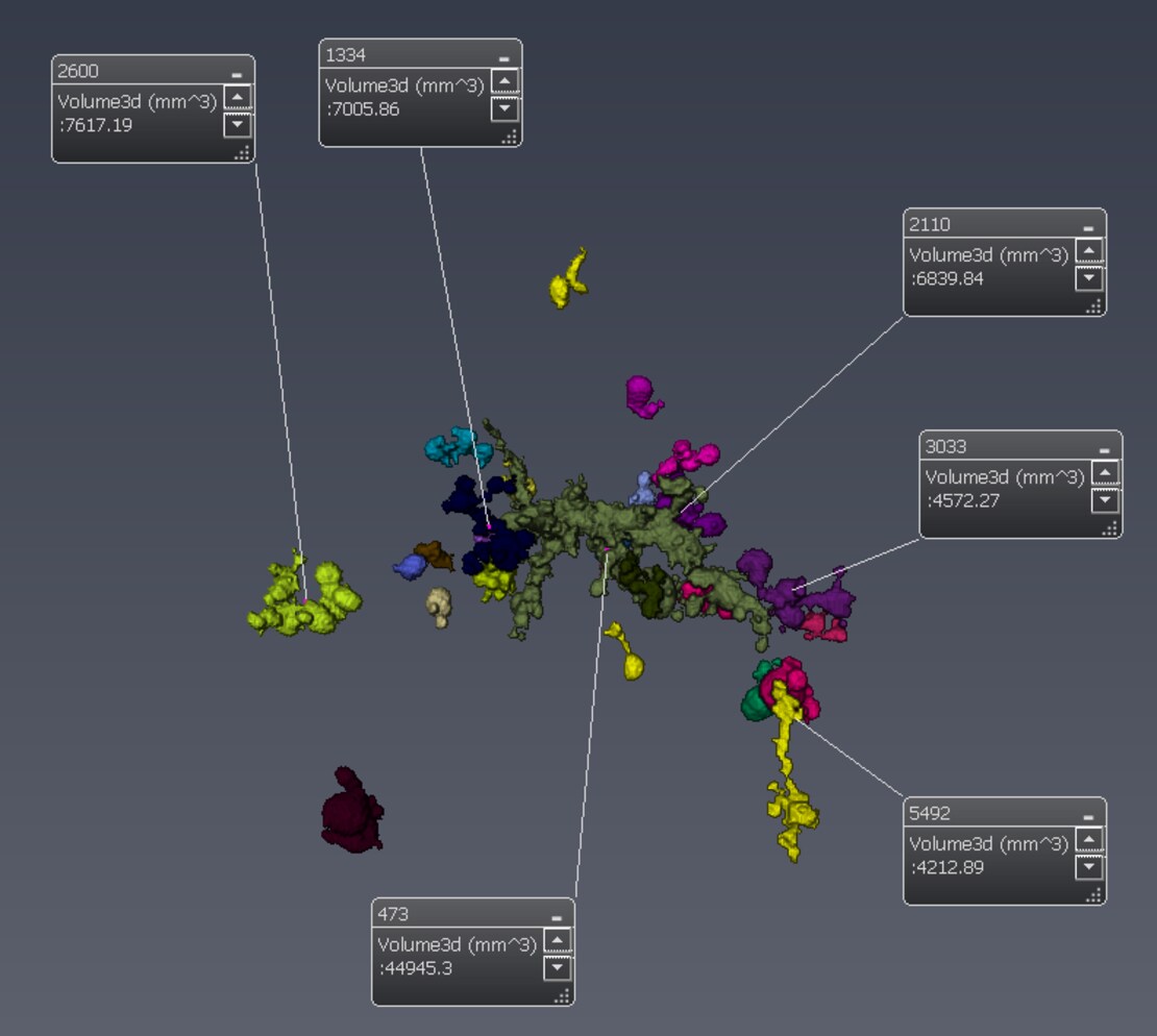 CreateLabelAnnotations_view