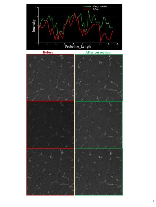 Feature segmentation for non-uniform illumination and low-contrast images