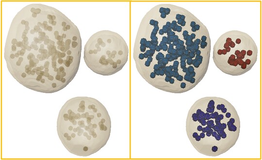 Relative Pore Fraction