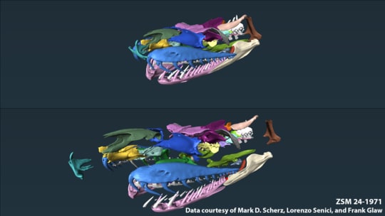 Explode Surface Animation Script