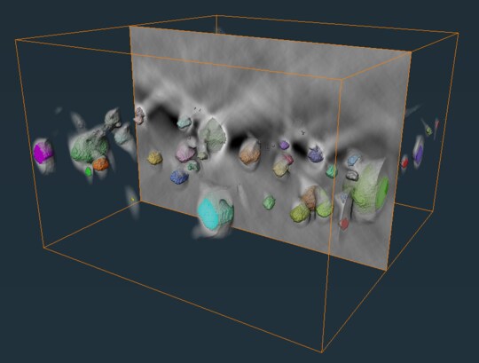Segment TEM data without artifact  and background effect