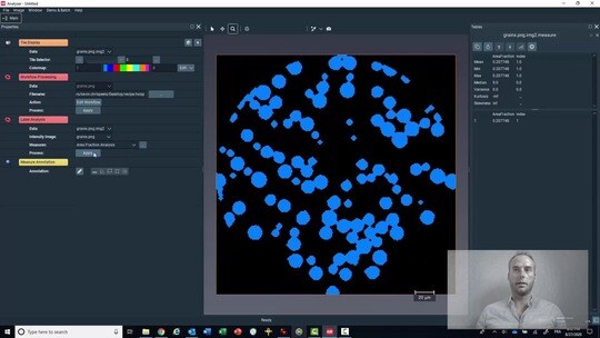 Relative Area Fraction for Amira-Avizo2D