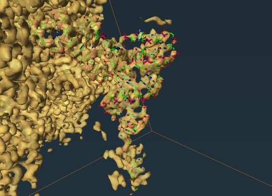 Fitting Molecule To Map