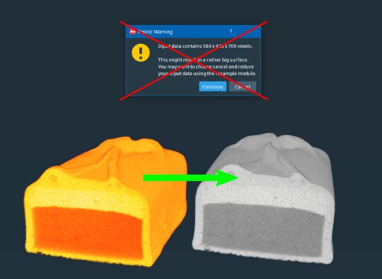 How to Customize Amira-Avizo with moduleExtender