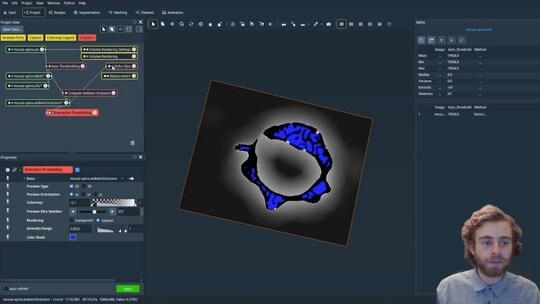 How to Segment Cavities Using the Compute Ambient Occlusion Module