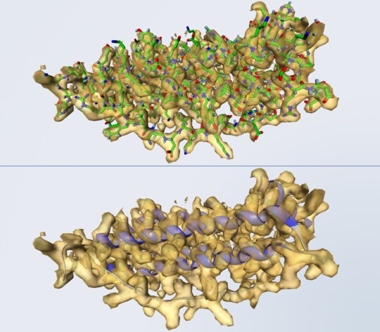 Masking Map by Molecule