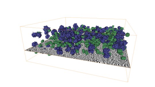 Visualize Identified Molecules of a Cryo-Tomogram
