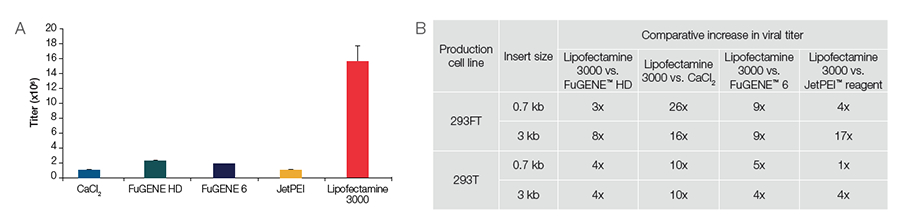 Neurobiology Transfection Guide | Thermo Fisher Scientific - TR