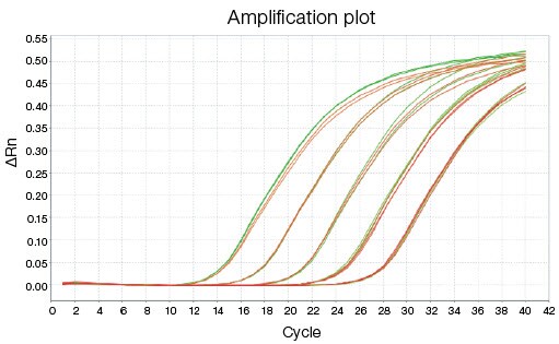 High quality of dNTPs helps ensure consistent Ct values in qPCR, especially with low template concentrations Amplification plot showing the high quality of dNTPs