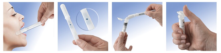 drugs-of-abuse-oral-fluid-testing-oft-training drugs-of-abuse-oral-fluid-testing-oft-training