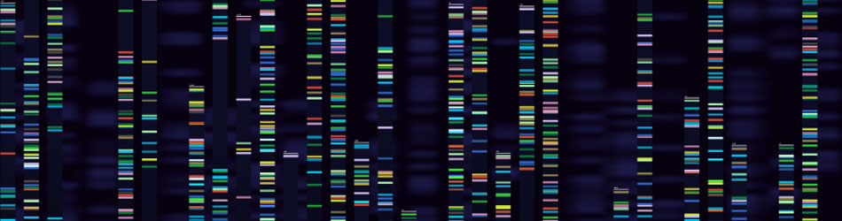 fragment-analysis-guide-header-image fragment-analysis-guide-header-image