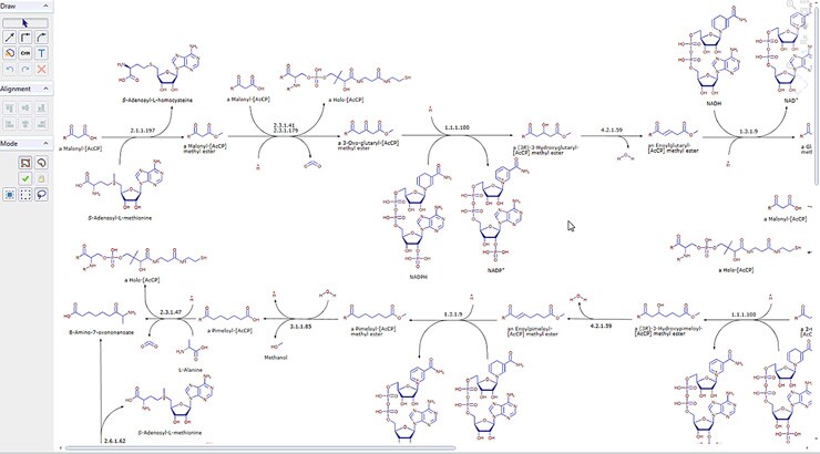 Example of an included Matabolika biological pathway Example of an included Matabolika biological pathway