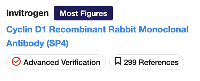 Advanced verification badge example Screenshot of search results
