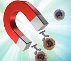 MagniSort cell isolation products Conceptual art of a large magnet attracting a magnet-bound surface