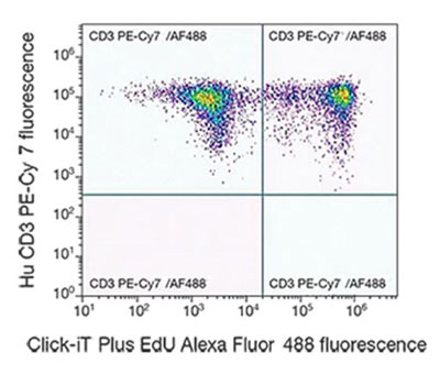 Click-iT Plus EdU Alexa Fluor 488 Flow Cytometry Assay data Click-iT Plus EdU Alexa Fluor 488 Flow Cytometry Assay data