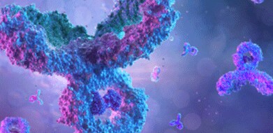 antibodies antibodies