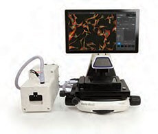 Invitrogen EVOS M5000 Imaging System with EVOS Onstage Incubator Invitrogen EVOS M5000 Imaging System with EVOS Onstage Incubator