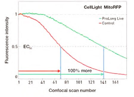 Invitrogen ProLong Live Reagent confocal imaging results Invitrogen ProLong Live Reagent confocal imaging results