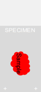 Specimen placed on slide Illustration of microscope slide with sample