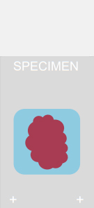 Specimen on slide after antifade applied Illustration of microscope slide with antifade applied