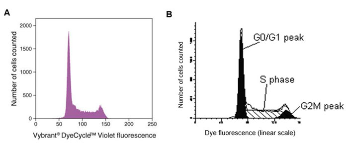 Flow cytometry cell cycle analysis Graphed results of flow cytometry cell cycle assay