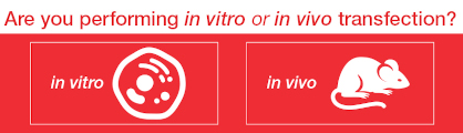 Invitrogen TransfectionSelect tool Options available in the TransfectionSelect tool