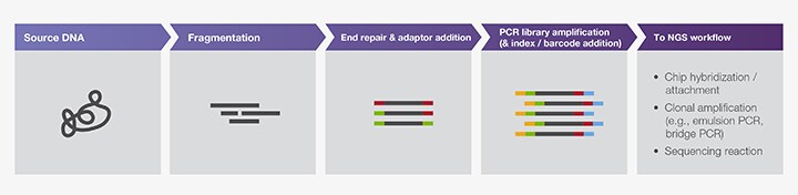 PCR in preparing DNA samples for next-generation sequencing PCR in preparing DNA samples for next-generation sequencing