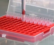 PCR Applications decorative