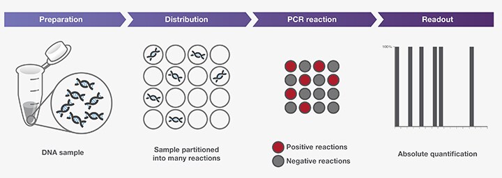 Common workflow of digital PCR Common workflow of digital PCR
