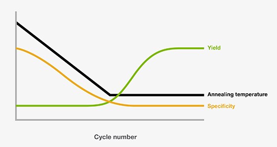 Touchdown PCR Touchdown PCR