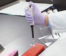 PCR Methods—Top Ten Strategies PCR Methods—Top Ten Strategies