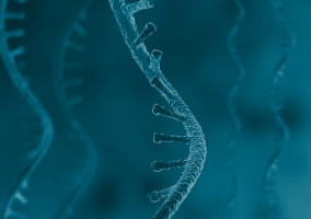 RNA electrophoresis RNA strands on a blue background