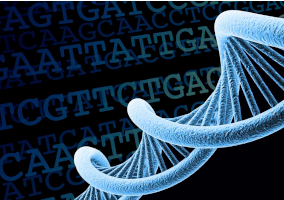DNA electrophoresis DNA double helix on a dark background