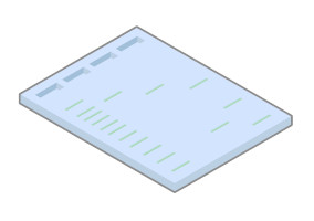 Electrophoresis for Southern blotting DNA fragments separated on a gel for Southern blotting