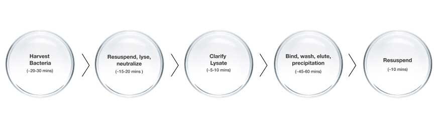 Traditional pDNA purification workflow Traditional plasmid DNA purification