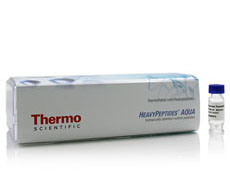HeavyPeptide AQUA Custom Synthesis Service HeavyPeptide AQUA Custom Synthesis Service