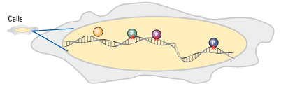 Crosslinking Crosslinking