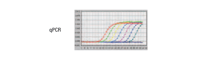 DNA quantitation DNA quantitation