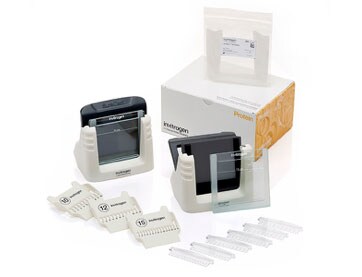 handcast-protein-gels-362 handcast-protein-gels-362