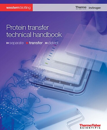 protein-transfer-technical-handbook protein-transfer-technical-handbook