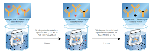 The schematic here shows how a dialysis cassette can be used for protein cleanup Removal of interfering substances from protein samples with Slide-A-Lyzer dialysis cassettes